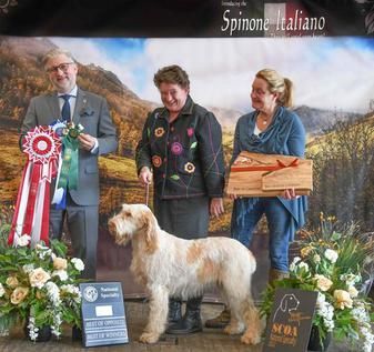 Owner and dog receiving award Owner and dog receiving award