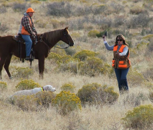 A man riding a horse and a woman standing next to a dog in a field.