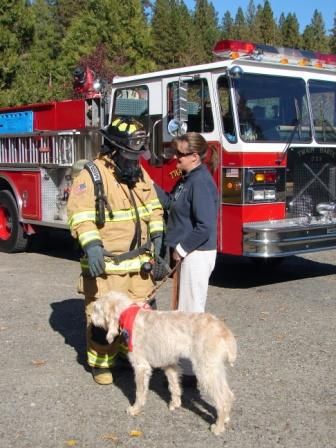 A fireman and a woman standing next to a dog in front of a fire truck