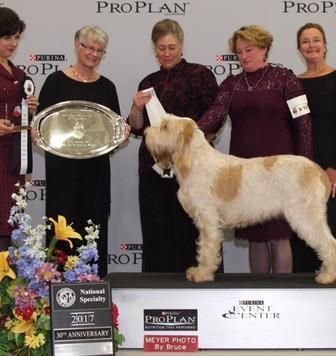 A group of women standing around a dog holding a trophy that says proplan on it