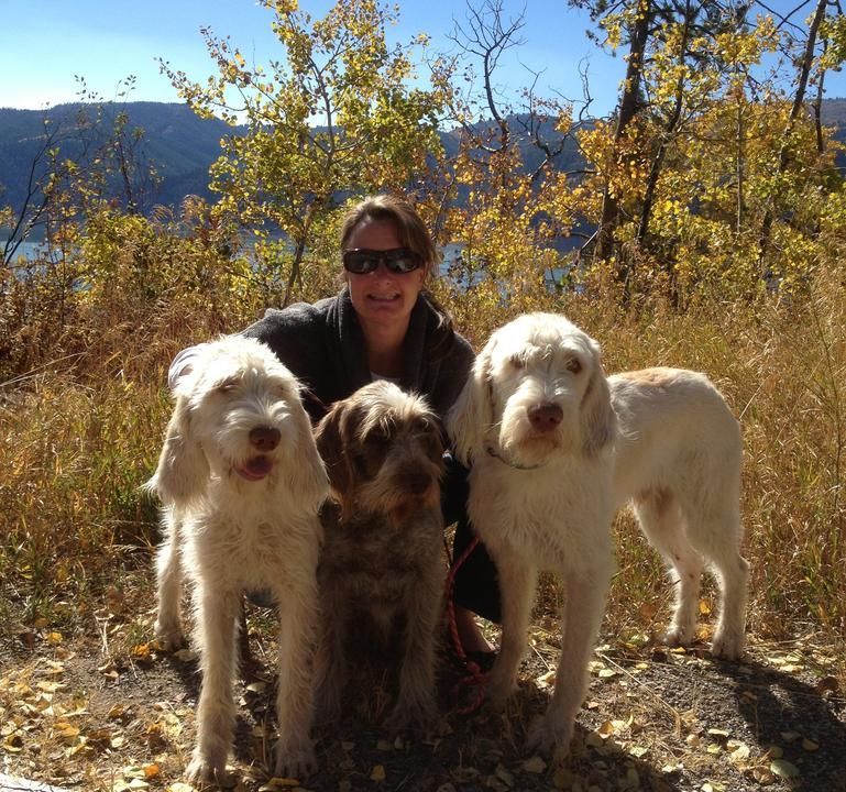 A woman is posing for a picture with three dogs