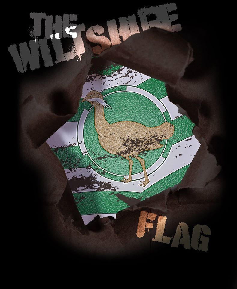 flag t shirt