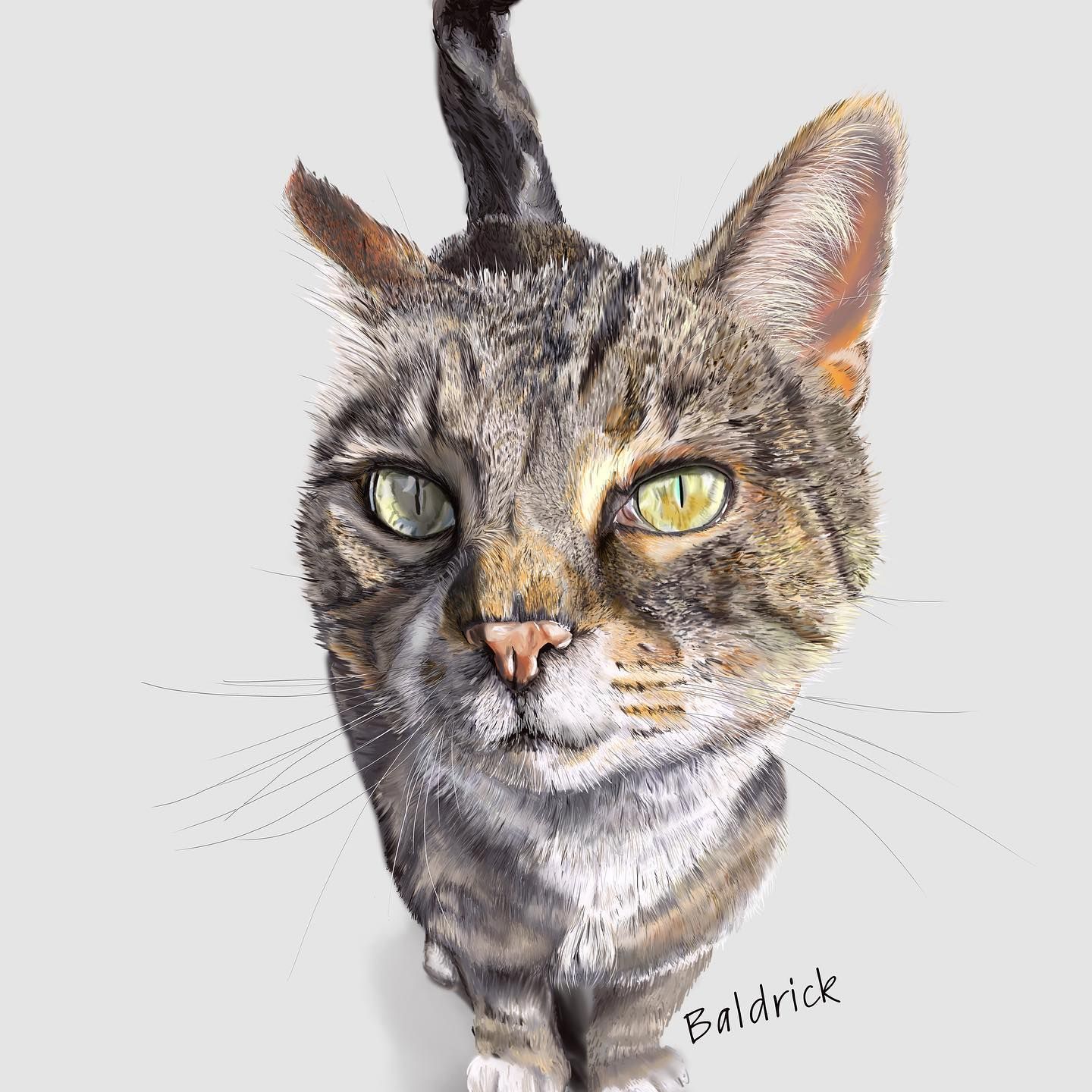Baldrick cat
