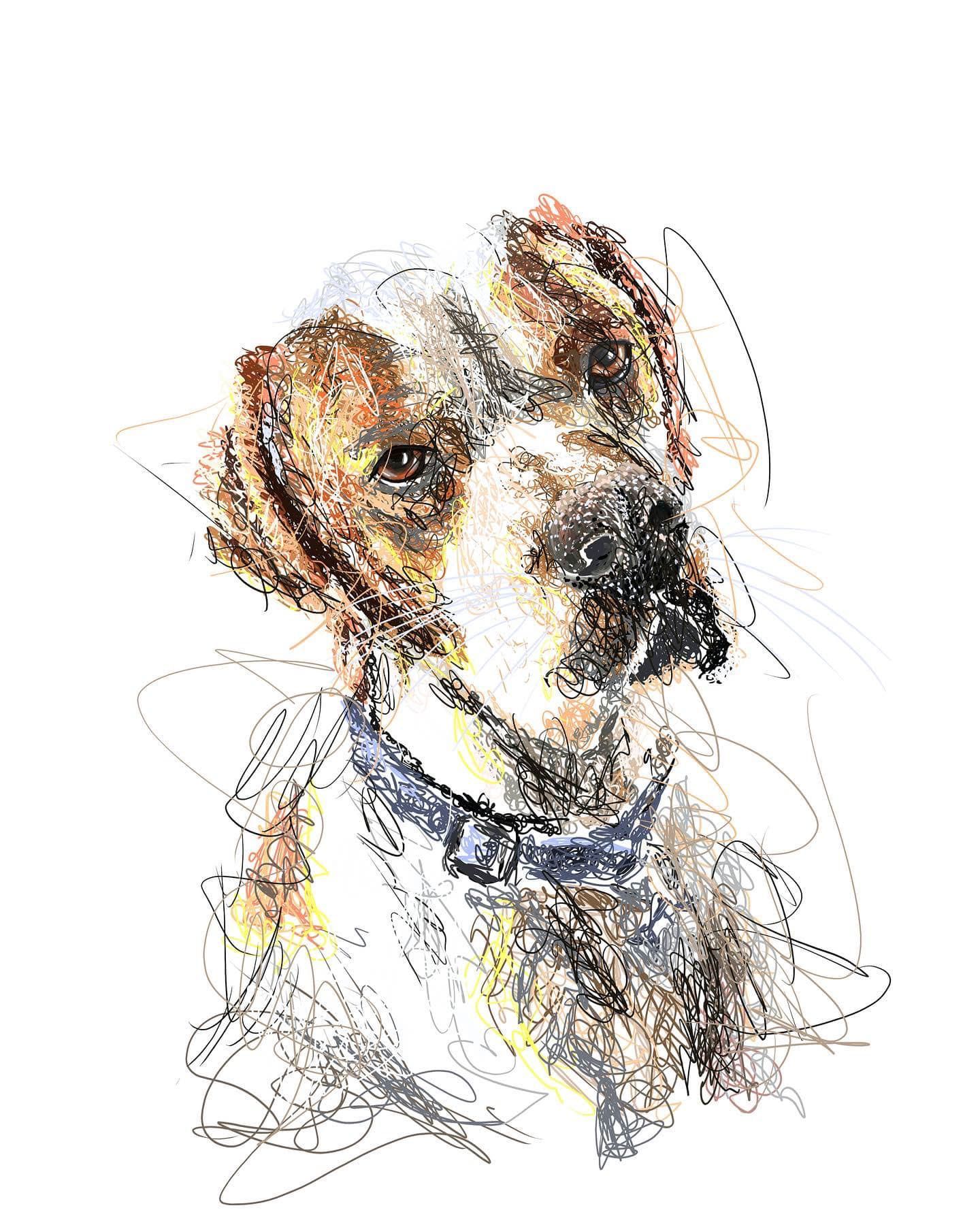 alfie scribble