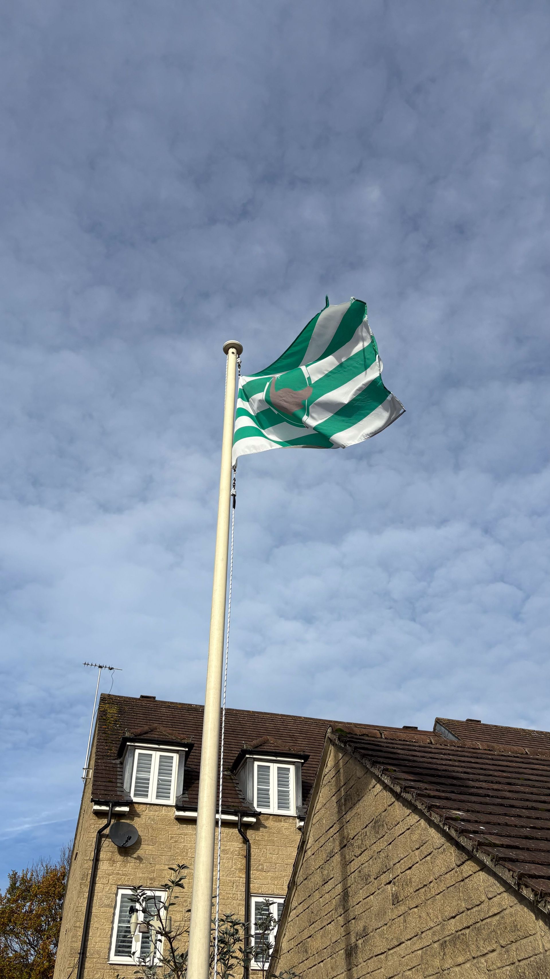 flag