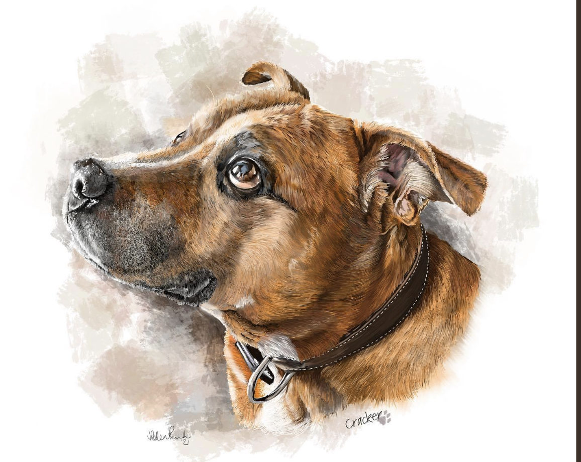 Cracker Dog
