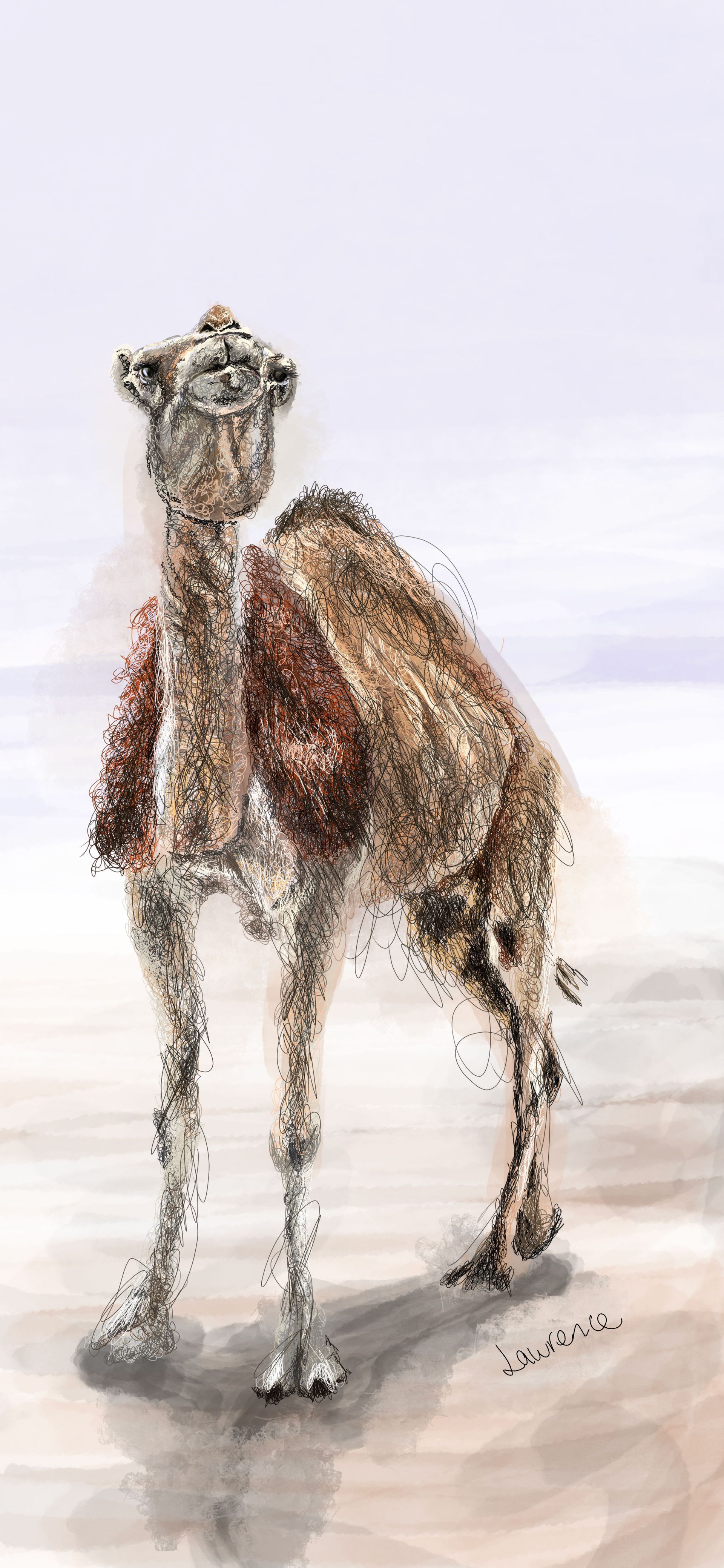 Camel Scribble