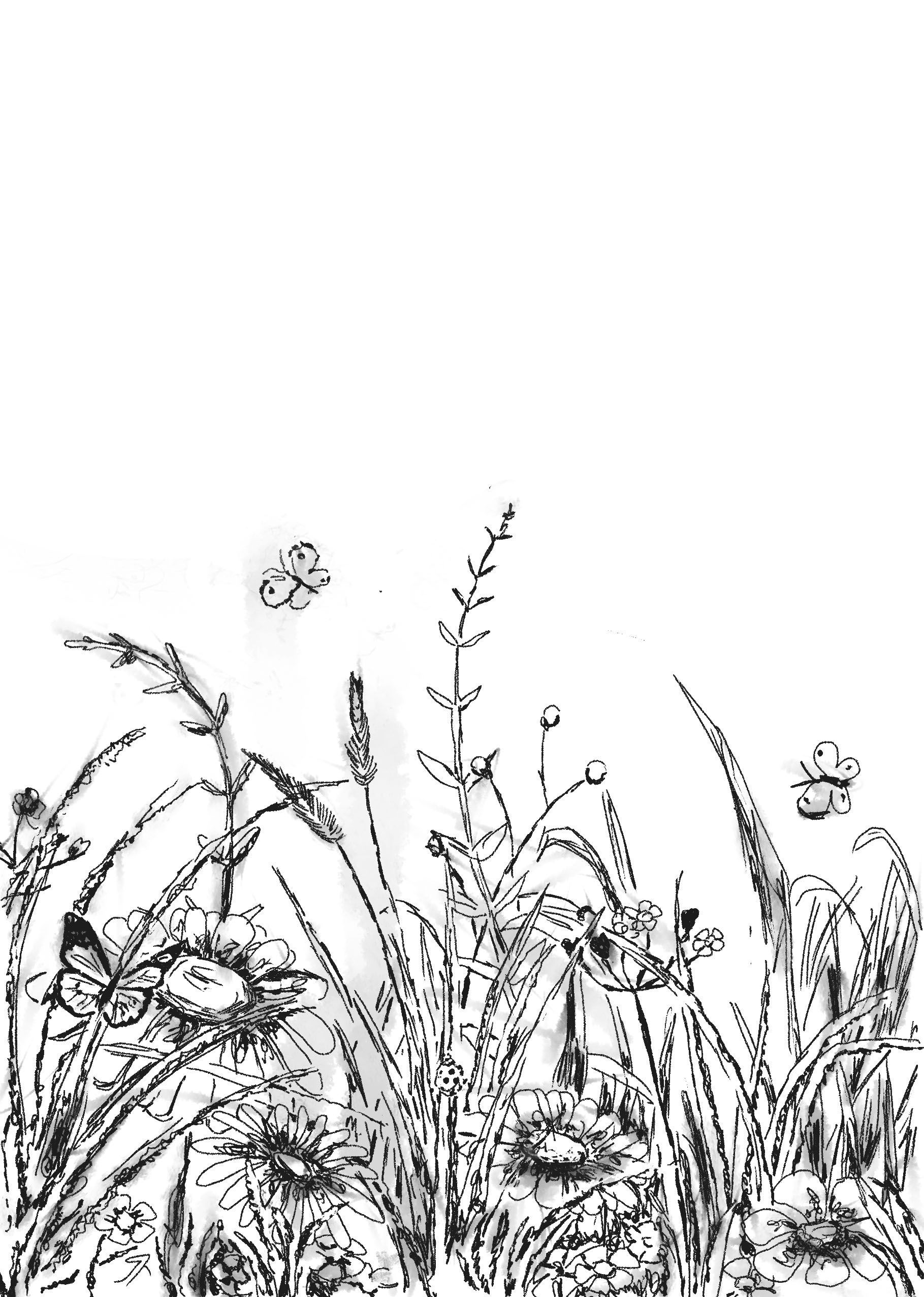  meadow