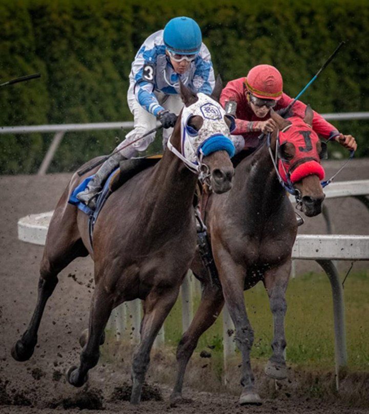 racing silks and blinkers