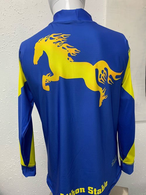 https://irp.cdn-website.com/e94188d8/dms3rep/multi/silks-blue-yellow-horse-8e77add6.jpg