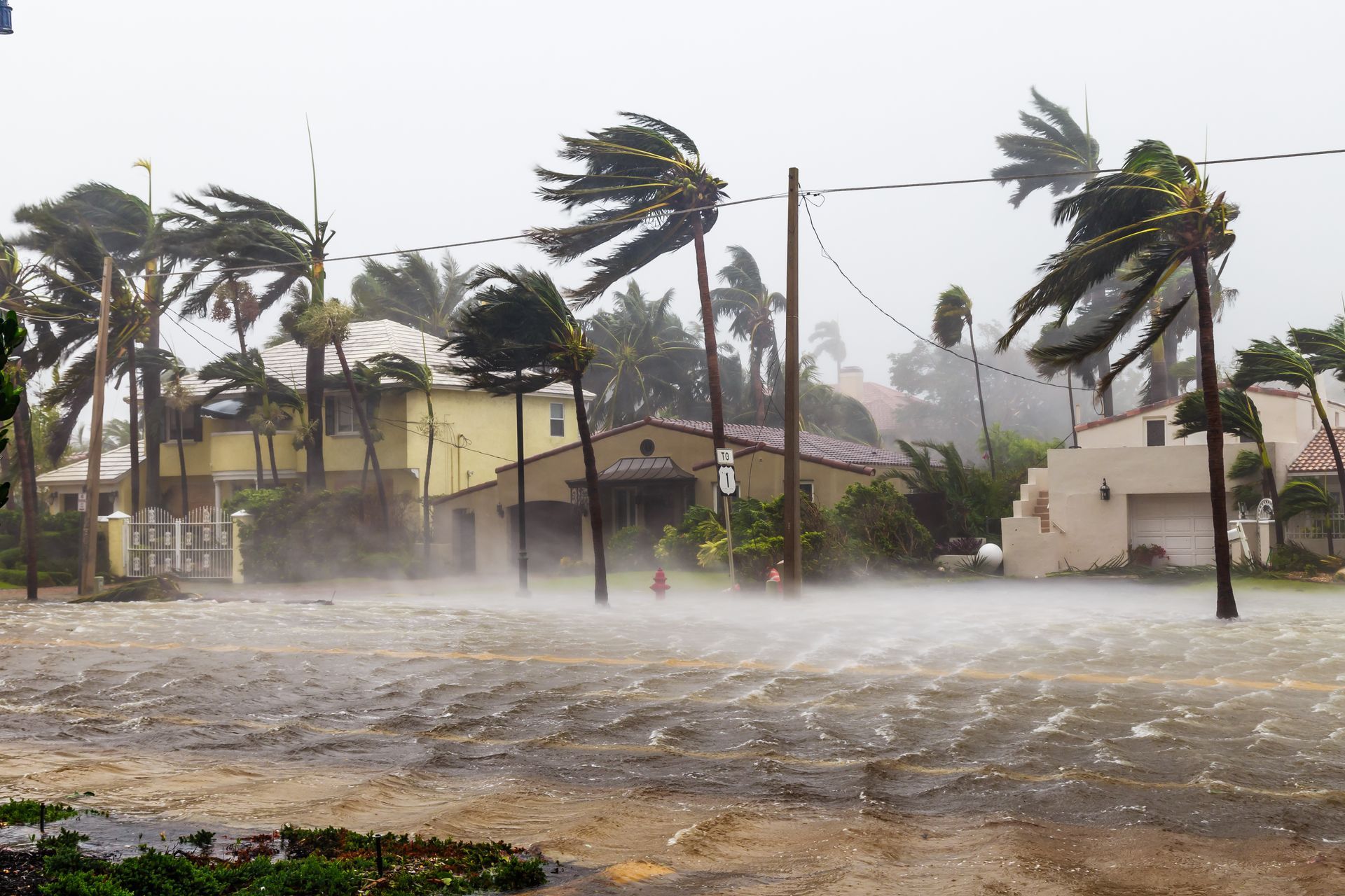 Palm trees bent by strong wind and rain flood a street beside houses and mist. Palm trees bent by strong wind and rain flood a street beside houses and mist.