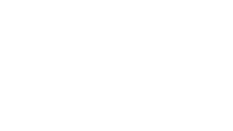 Pantalla blanca en blanco con una fina línea horizontal negra cerca de la parte inferior.