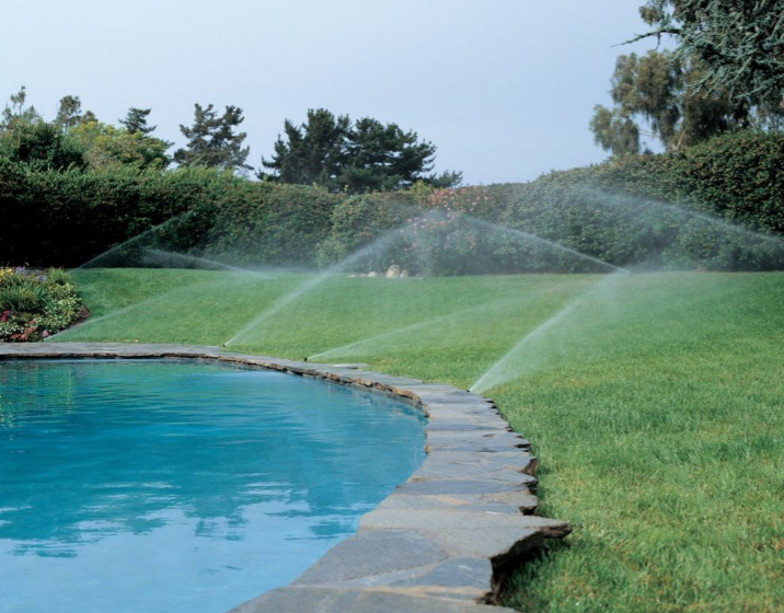 Sprinklers watering green lawn beside a blue swimming pool, with a hedge in the background.