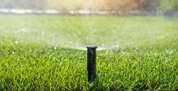 Lawn sprinkler spraying water over bright green grass.