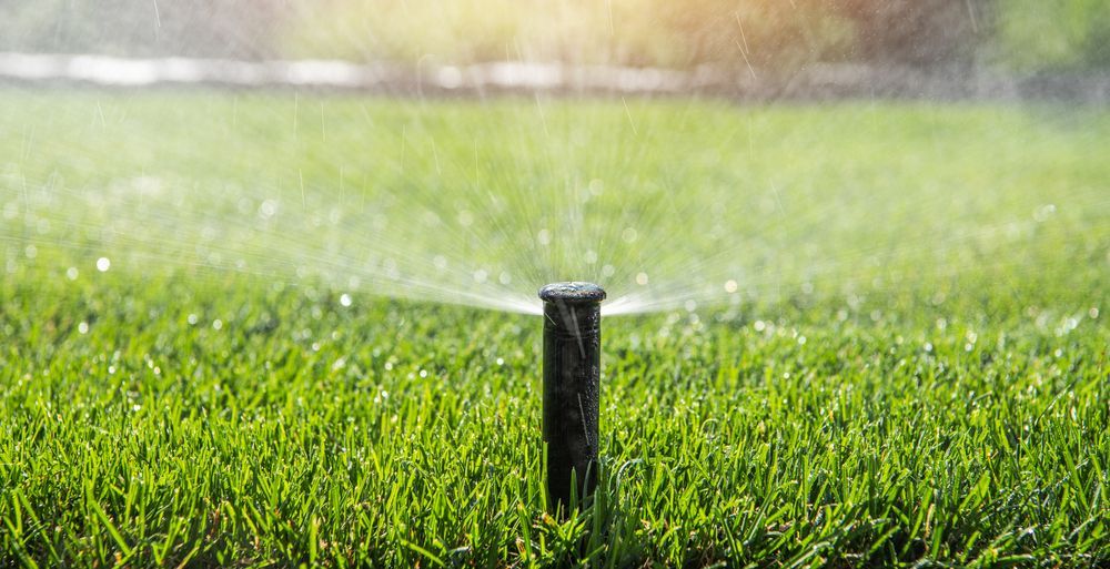 Lawn sprinkler spraying water over bright green grass.