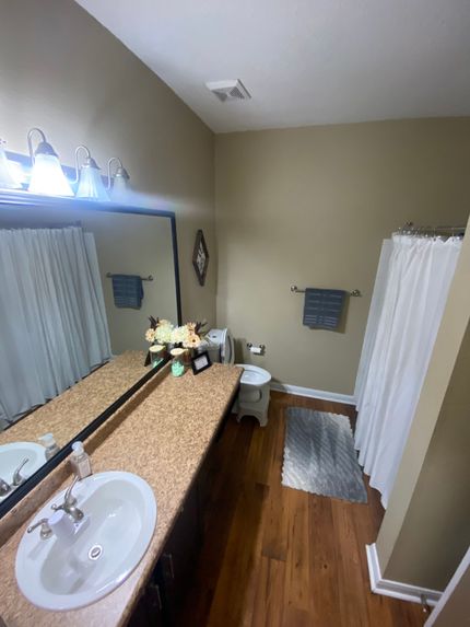 A bathroom with a sink , mirror and shower curtain.