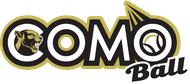 Logo for league