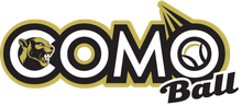 Logo for league