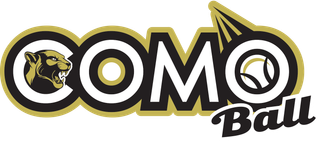 Logo for league