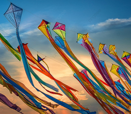 ocean cove kites