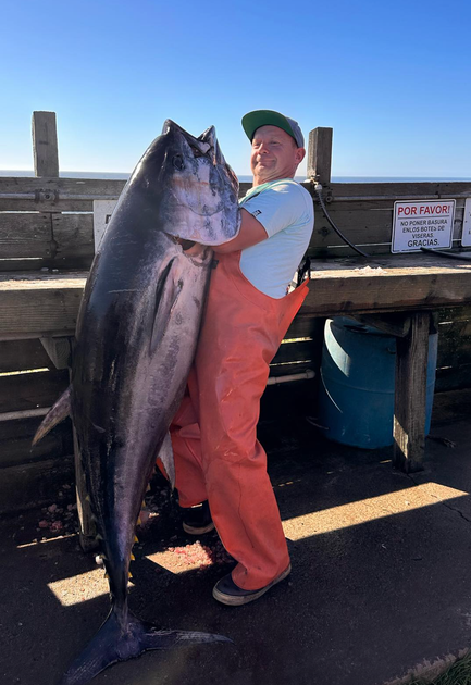ocean cove fishing 2