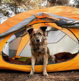 ocean cove ca camping style