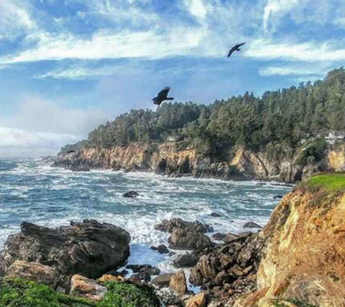 ocean cove ca