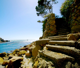 ocean cove ca steps