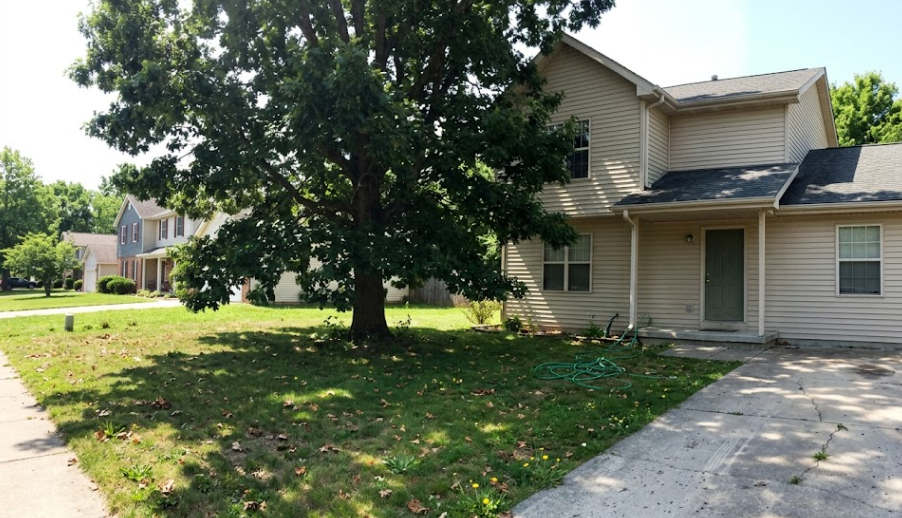 A healthy, well-pruned tree next to a house, prepared to withstand high winds and storm damage in Shenandoah Valley.