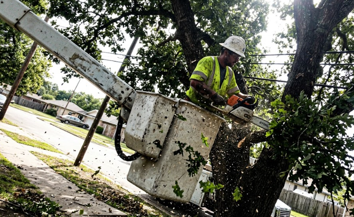 Tree service worker in a bucket truck safely removing a large branch from a tree in a residential neighborhood.