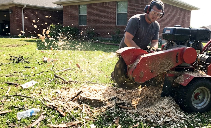 Professional tree care worker operating a stump grinder in a front yard to remove a leftover tree stump.