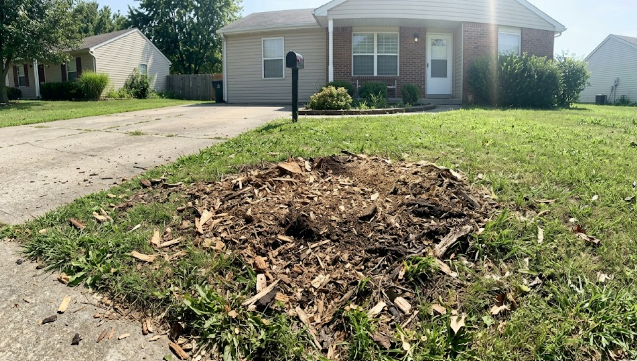 A beautifully manicured front lawn in Harrisonburg showing a clean patch of fresh woodchips after professional stump removal.
