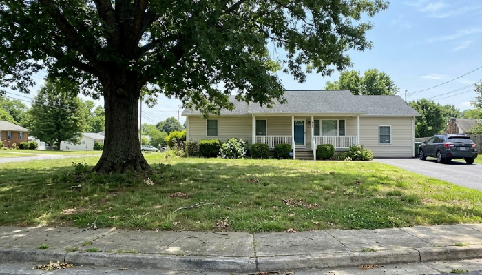 A beautiful, healthy shade tree in a Virginia front yard protected by preventive tree pest control.