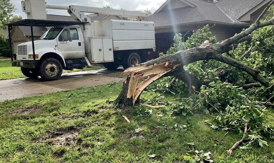 Emergency tree service truck arriving quickly to clean up fallen branches after a severe storm.