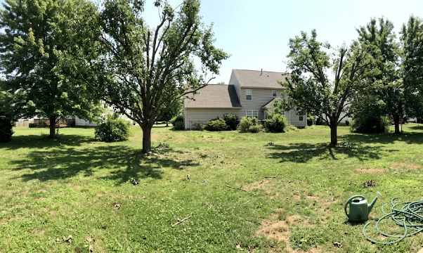 A beautiful residential backyard in the Shenandoah Valley with healthy, expertly pruned shade trees.