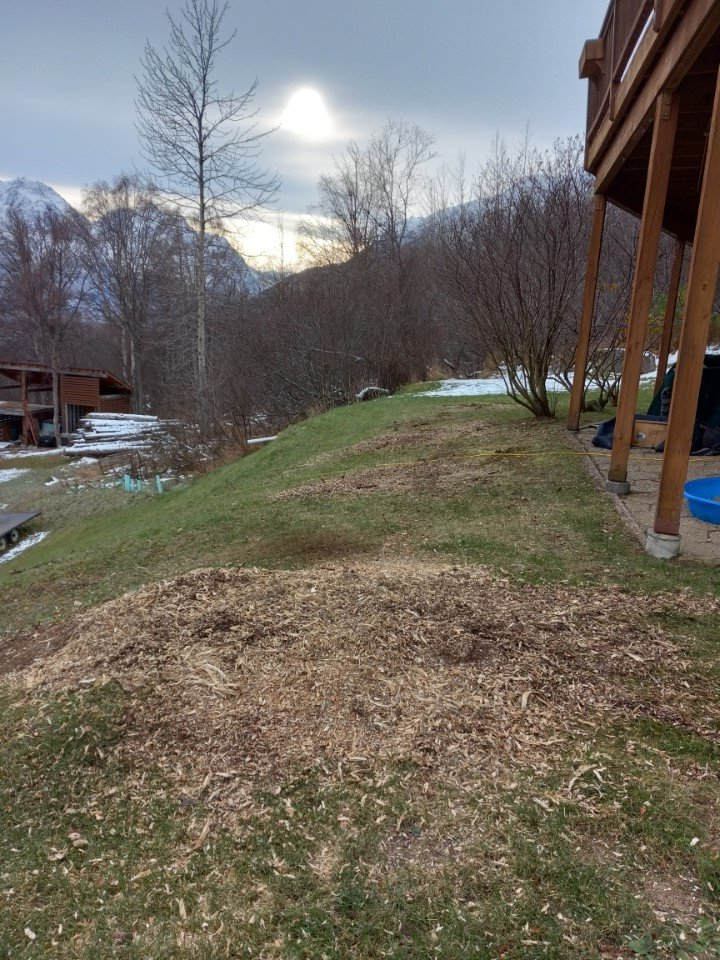 Green hillside with wood chips, partially covered with snow, next to a house and bare trees against a cloudy sky.