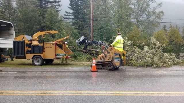 Tree Service Team — Anchorage, AK — Carlos Tree Service Inc Tree Service Team — Anchorage, AK — Carlos Tree Service Inc