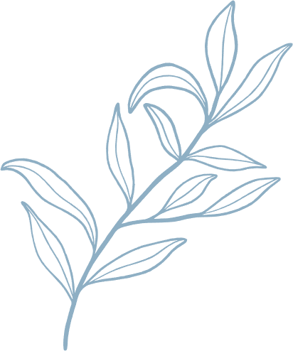 Blue outlined botanical illustration of a branch with elongated leaves.