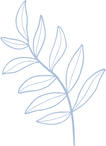 Pale blue line drawing of a leafy stem.