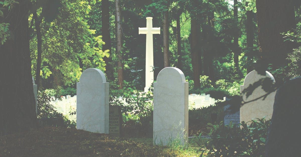 Graveyard scene with white tombstones and cross in a wooded area.
