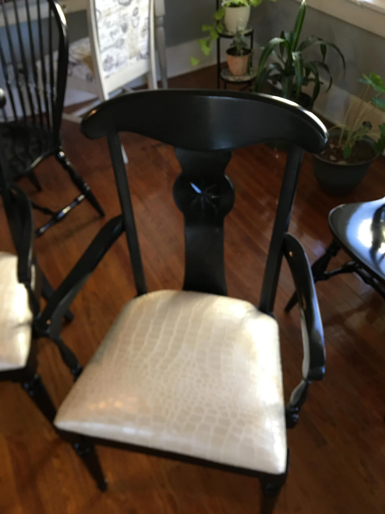 Black wooden chair with white textured seat; other chairs and plants in the background.