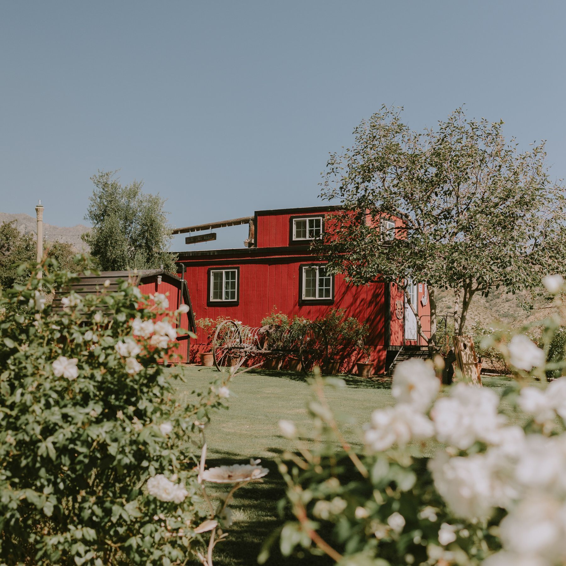 Crista Ekstrand Photo A red house with a lot of windows is surrounded by trees and bushes.