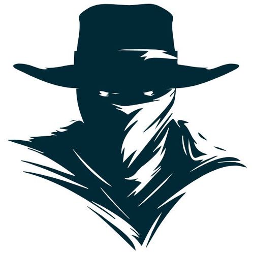 Outlaw Bin Cleaning Logo