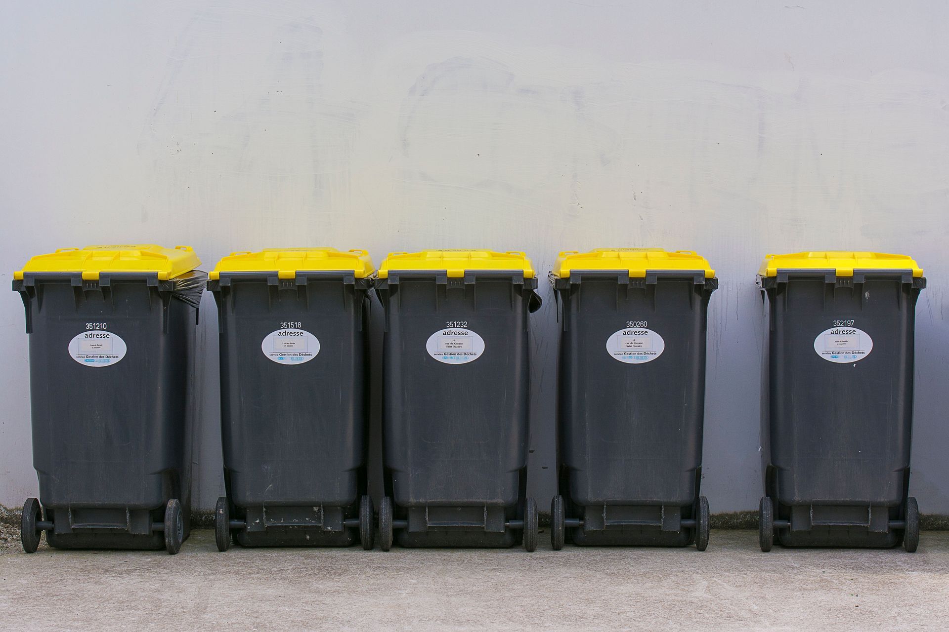 Five black trash bins with yellow lids lined up against a plain wall