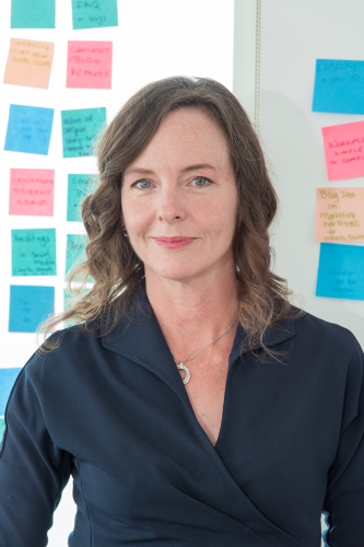 Deborah Janz, Strategic Intelligence Consultant