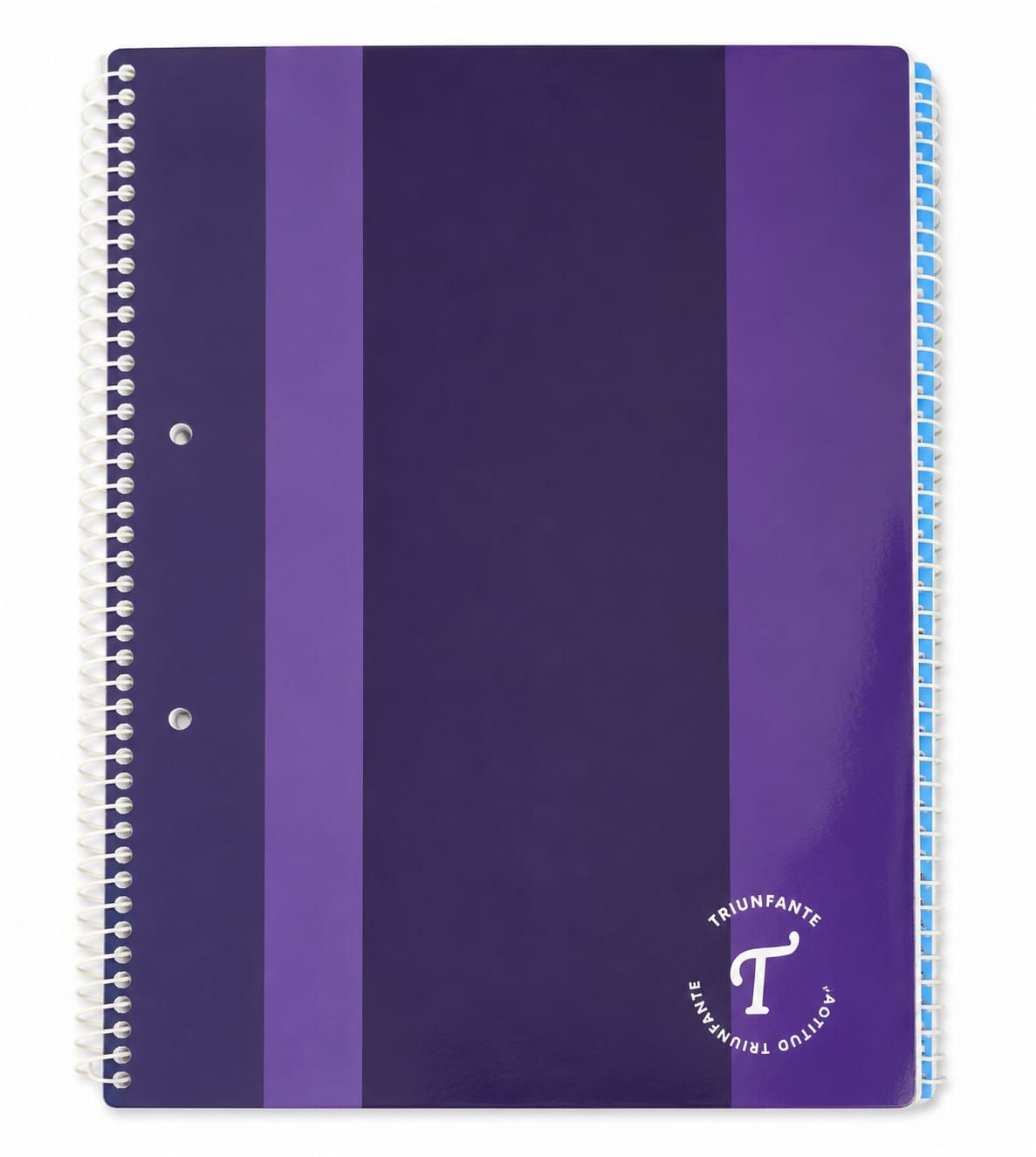 CUADERNO TRIUNFANTE  80H.RAYADO