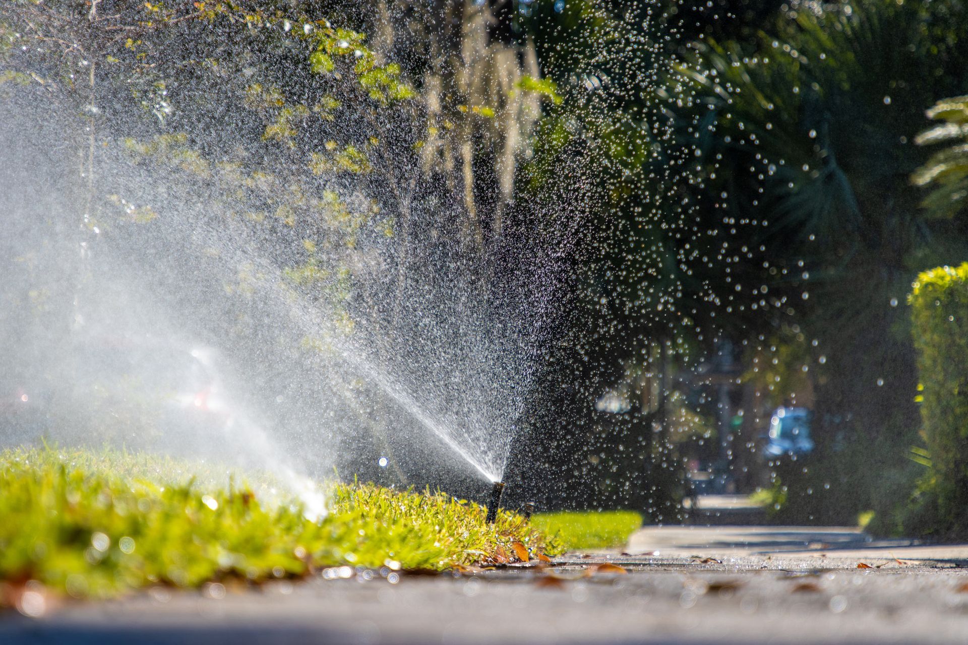 Hand Installing Sprinkler for Irrigation — Denver, CO — Mile-Hi Sprinkler Hand Installing Sprinkler for Irrigation — Denver, CO — Mile-Hi Sprinkler
