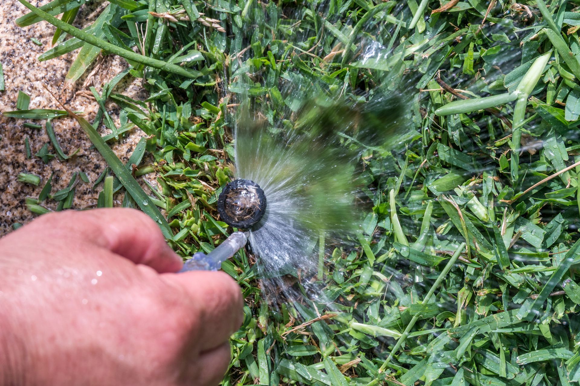 Fixing a Sprinkler Irrigating a Lawn — Denver, CO — Mile-Hi Sprinkler Fixing a Sprinkler Irrigating a Lawn — Denver, CO — Mile-Hi Sprinkler