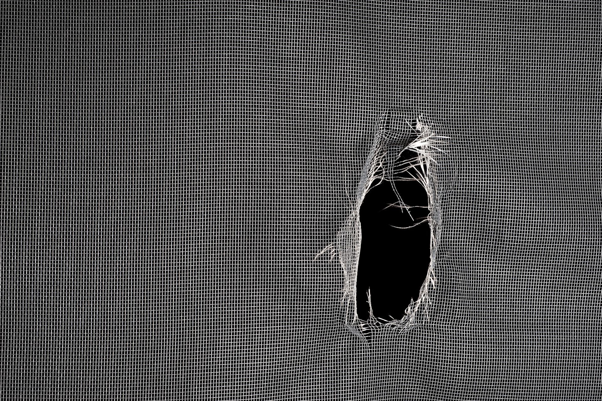 Tear Repair - Spring Hill, FL - The Screen King of Tampa, Inc