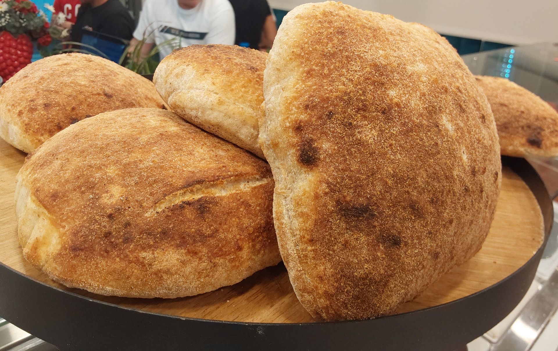 panini